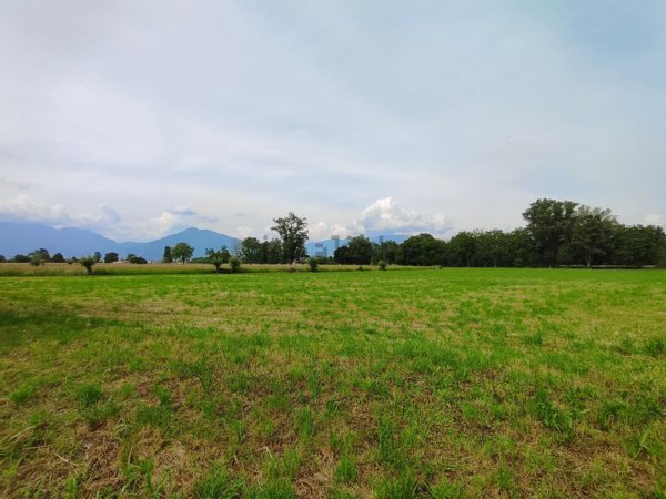 terreno agricolo in vendita a Marano Vicentino