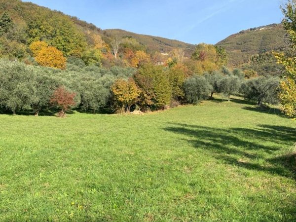 terreno agricolo in vendita a Marostica in zona Valle San Floriano