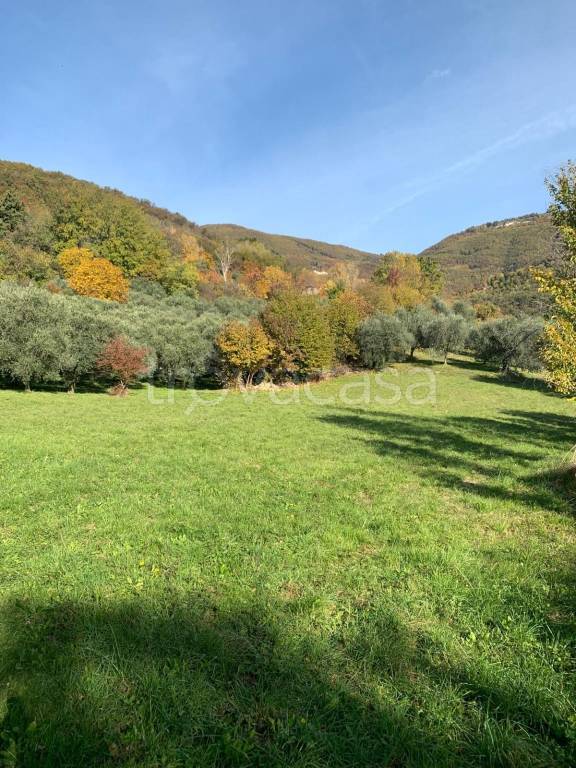 terreno agricolo in vendita a Marostica in zona Valle San Floriano
