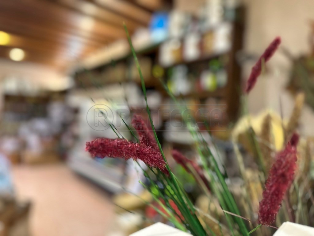 negozio in vendita a Marostica