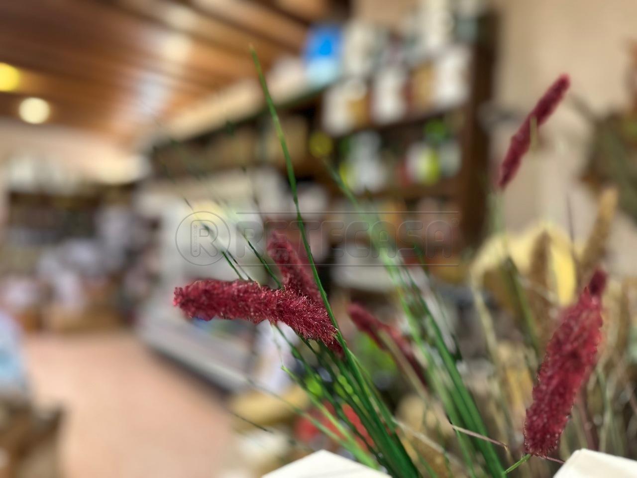 appartamento in vendita a Marostica