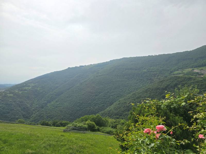 casa indipendente in vendita a Marostica in zona Pradipaldo