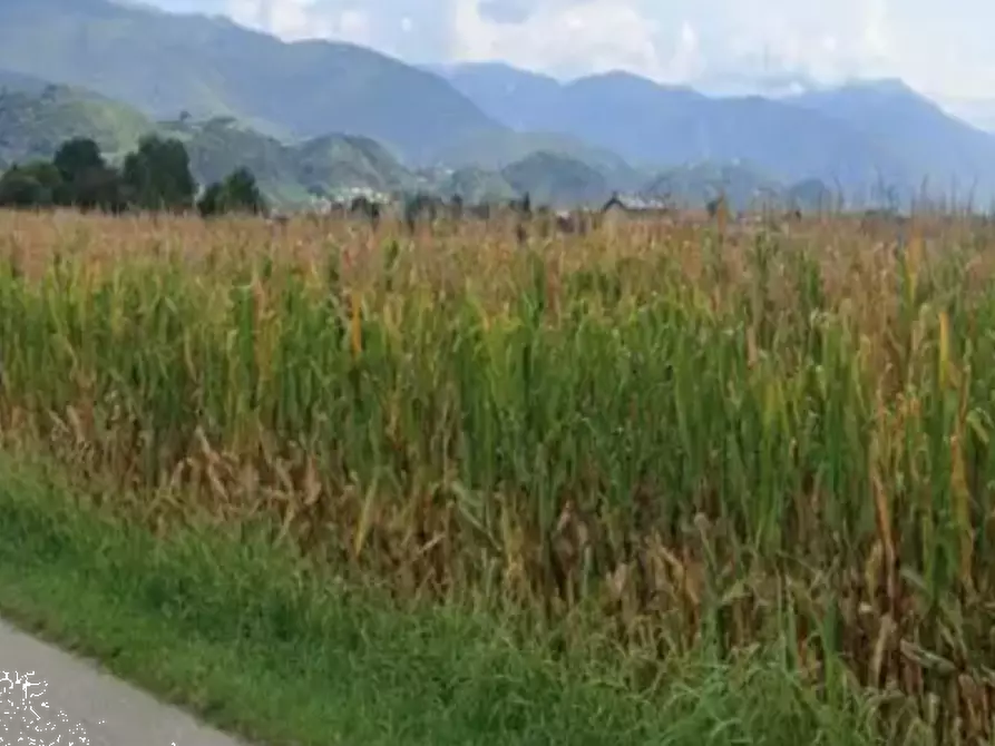 terreno agricolo in vendita a Marostica