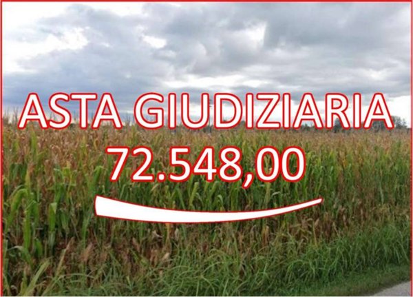 terreno agricolo in vendita a Marostica