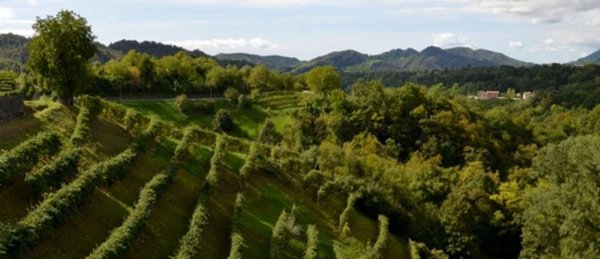 casa indipendente in vendita a Marostica