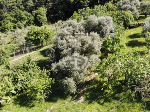 terreno edificabile in affitto a Marostica