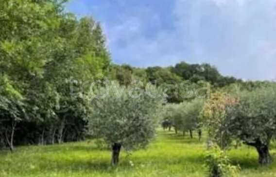 appartamento in vendita a Marostica