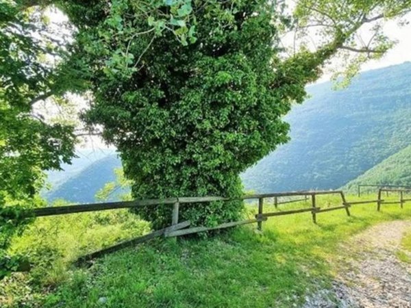 casa indipendente in vendita a Marostica in zona Pradipaldo