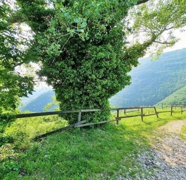 appartamento in vendita a Marostica in zona Vallonara