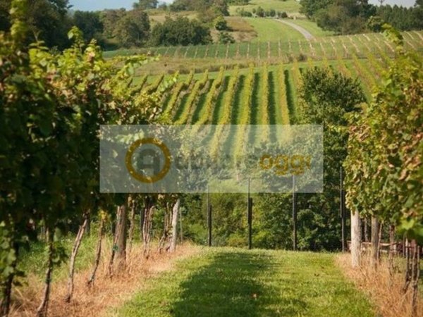 terreno agricolo in vendita a Marostica