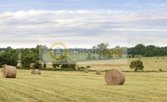 terreno edificabile in vendita a Marostica
