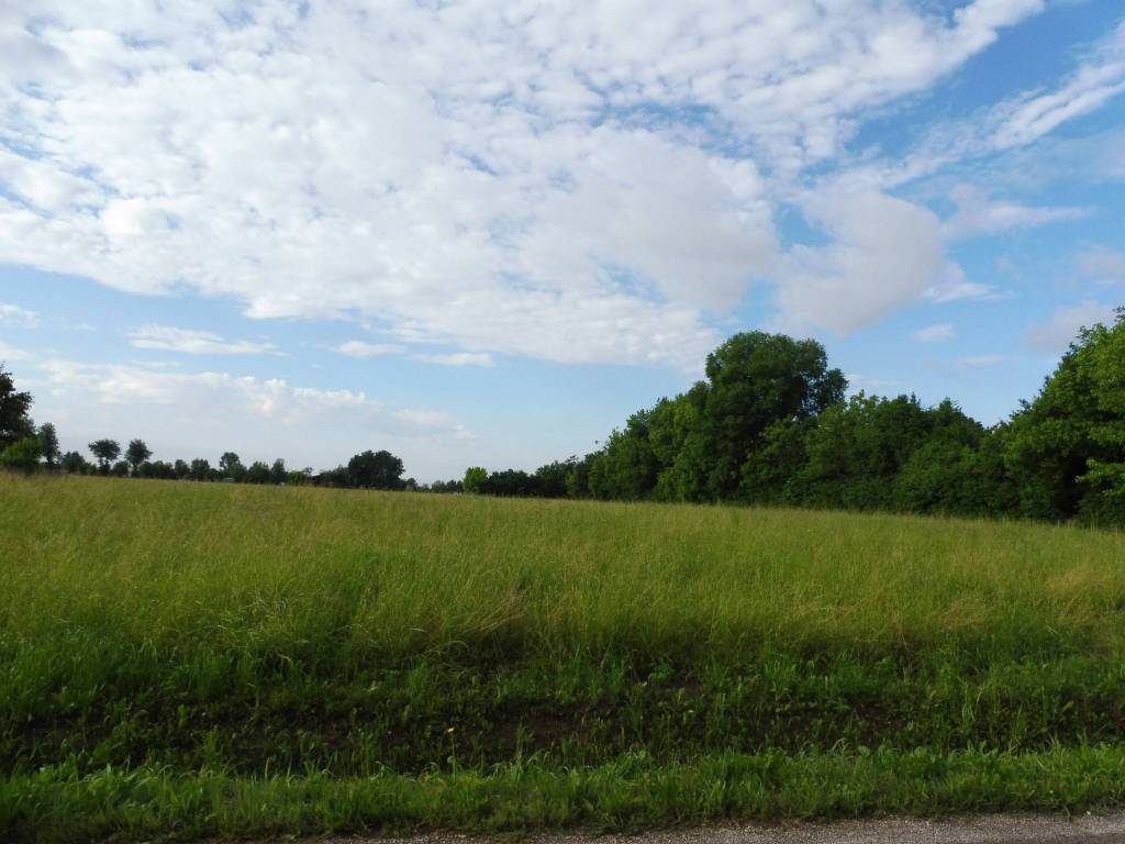 terreno agricolo in vendita a Marostica