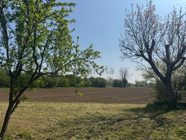 pentavano in vendita a Marostica