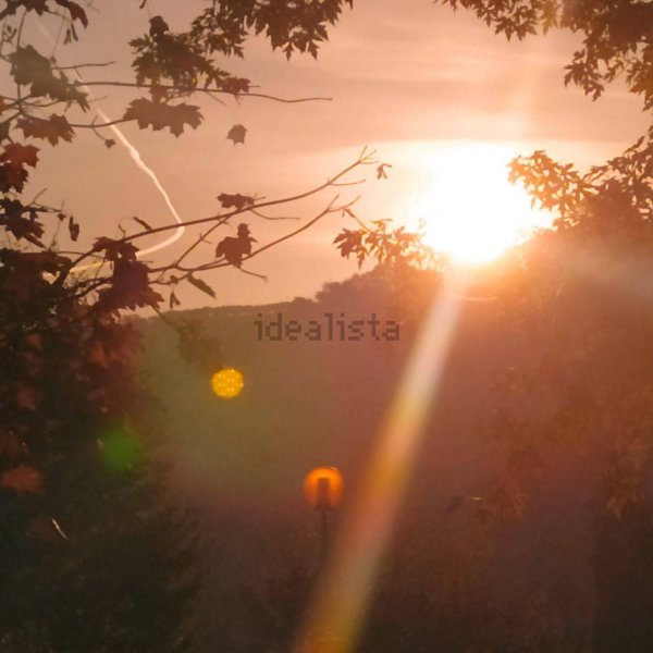 bifamiliare in vendita a Marostica