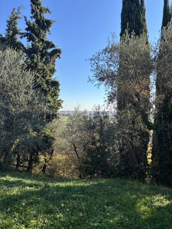 casa indipendente in vendita a Marostica in zona Marsan