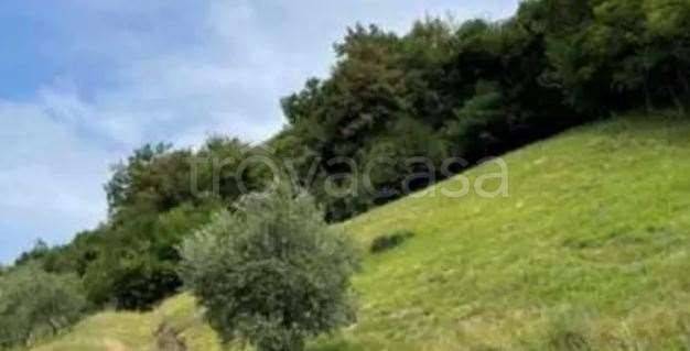 appartamento in vendita a Marostica in zona Vallonara