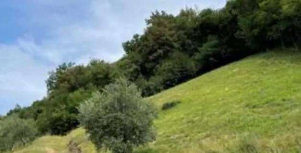 terreno edificabile in vendita a Marostica in zona Vallonara