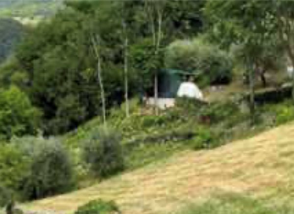 terreno agricolo in vendita a Marostica in zona Vallonara
