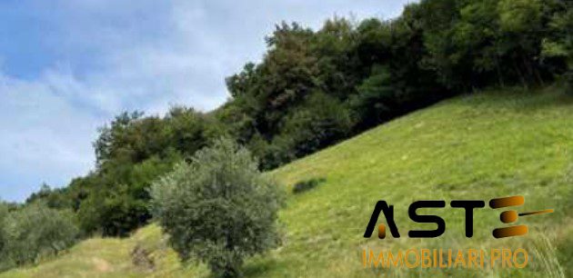 terreno agricolo in vendita a Marostica in zona Vallonara