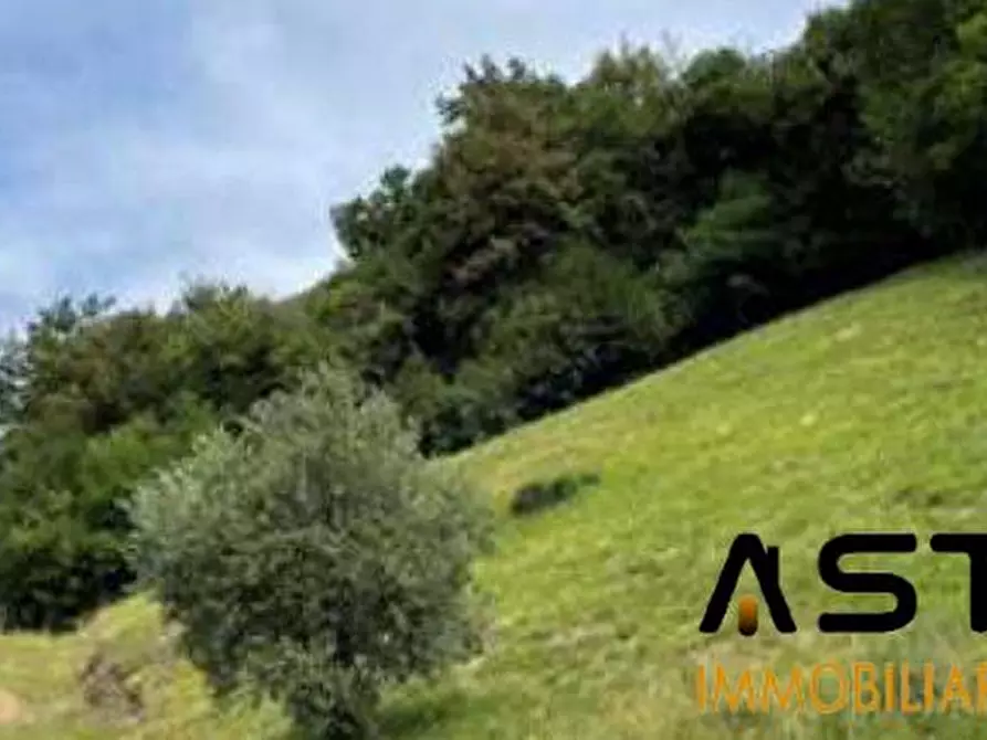 terreno agricolo in vendita a Marostica in zona Vallonara