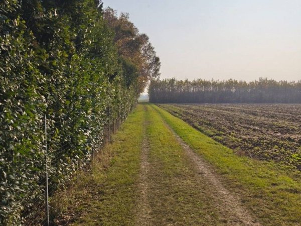 terreno agricolo in vendita a Marostica