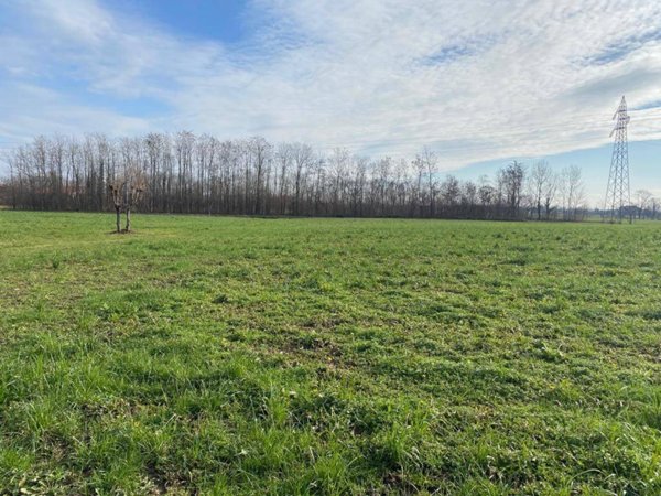 terreno agricolo in vendita a Marostica