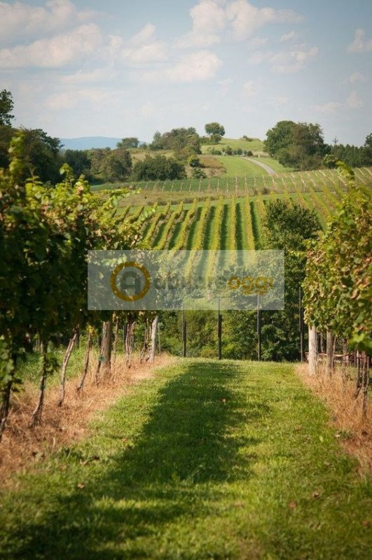 terreno edificabile in vendita a Marostica