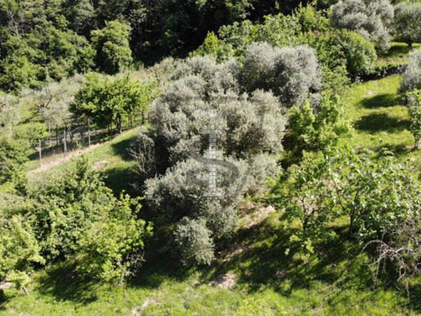 terreno in vendita a Marostica