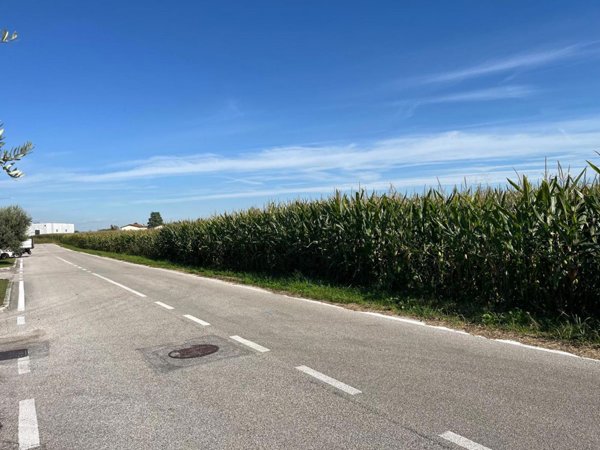 terreno agricolo in vendita a Marostica