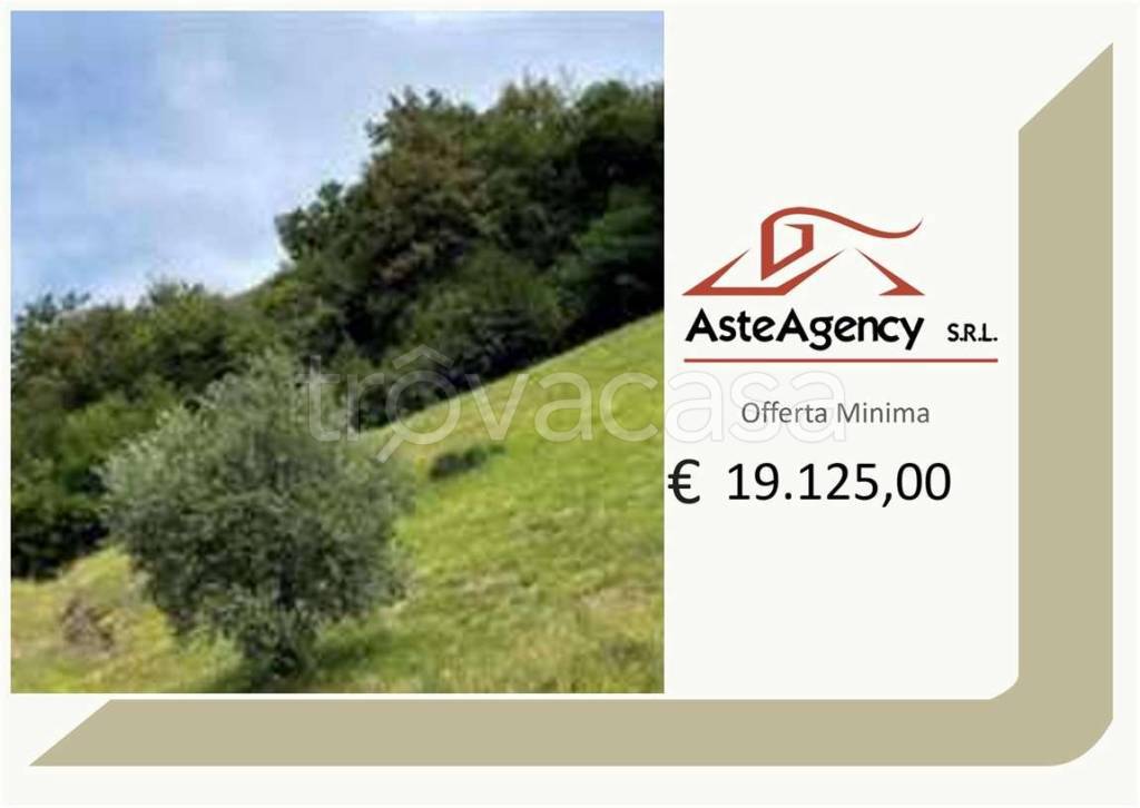 terreno agricolo in vendita a Marostica in zona Vallonara