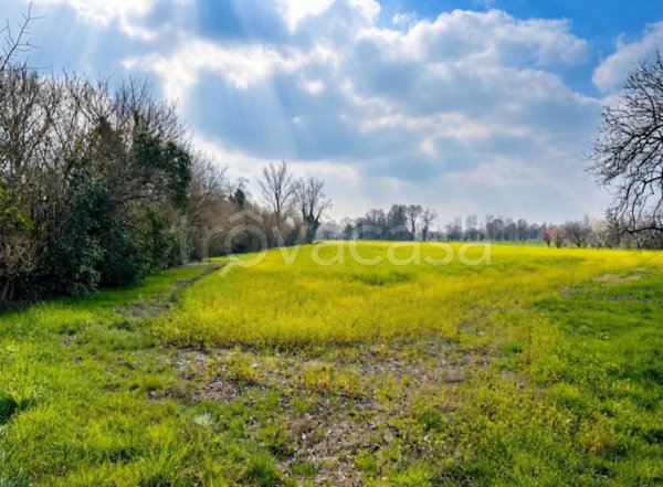 terreno agricolo in vendita a Marostica