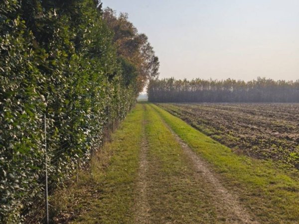 terreno in vendita a Marostica