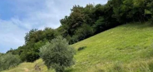 terreno in vendita a Marostica in zona Crosara