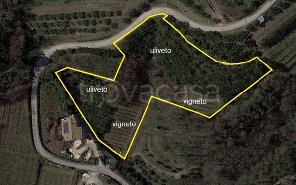 terreno agricolo in vendita a Montebello Vicentino in zona Selva