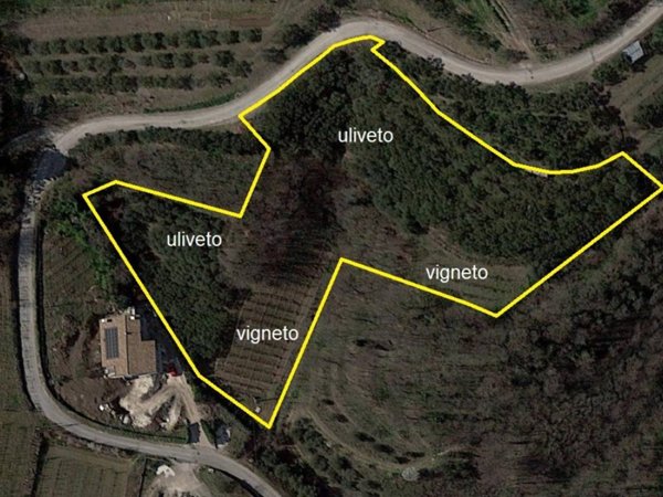 terreno agricolo in vendita a Montebello Vicentino in zona Selva