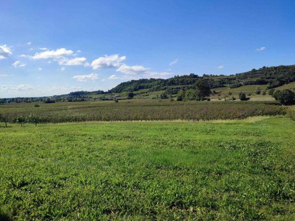 terreno agricolo in vendita a Montebello Vicentino in zona Selva