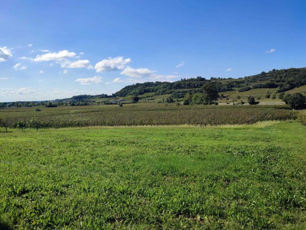 terreno edificabile in vendita a Montebello Vicentino in zona Selva