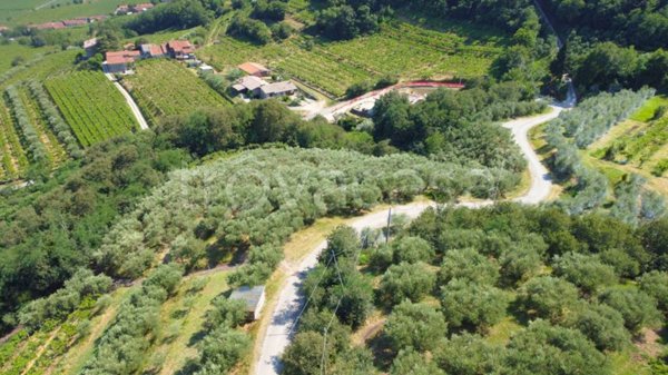 terreno agricolo in vendita a Montebello Vicentino in zona Selva