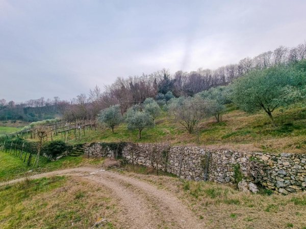 terreno agricolo in vendita a Montecchio Maggiore in zona Valdimolino