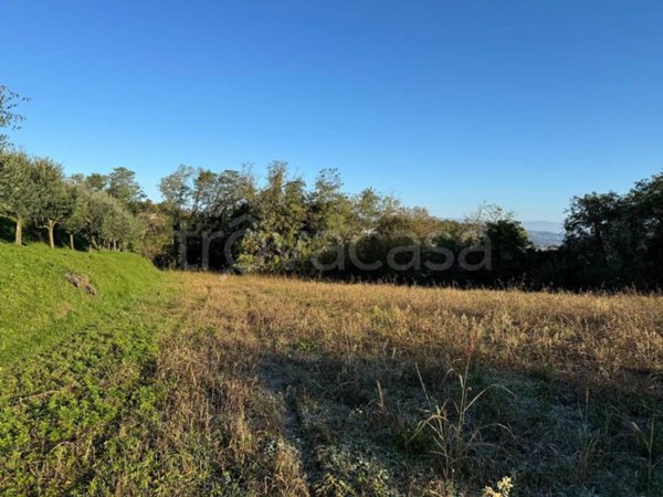 casa indipendente in vendita a Montecchio Maggiore