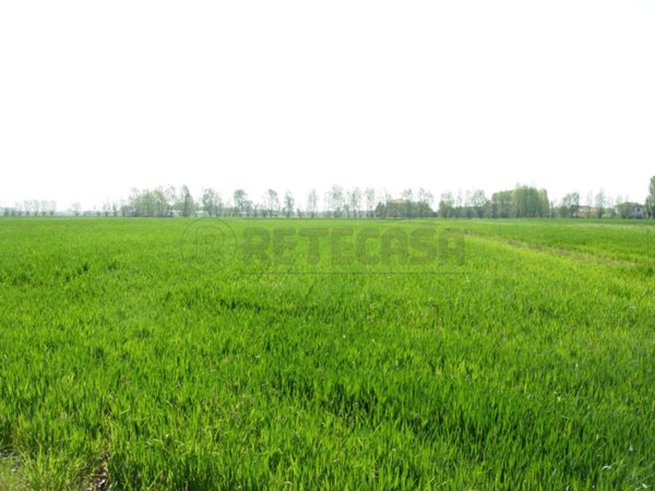 appartamento in vendita a Montecchio Maggiore