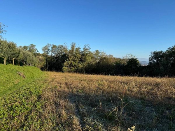 terreno agricolo in vendita a Montecchio Maggiore