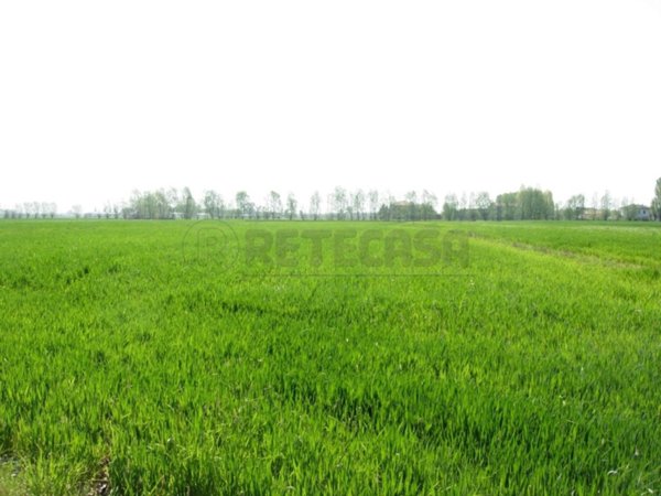 appartamento in vendita a Montecchio Maggiore
