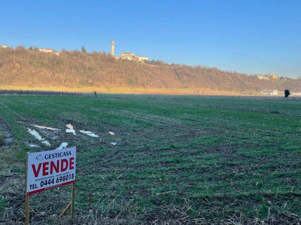 terreno agricolo in vendita a Montecchio Maggiore