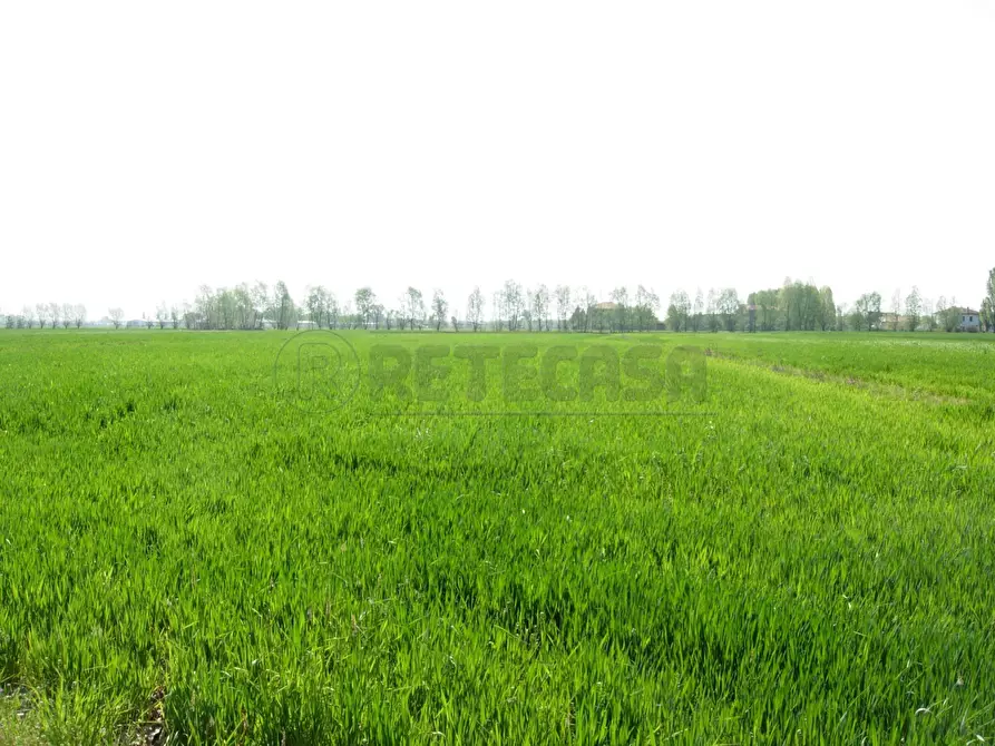 appartamento in vendita a Montecchio Maggiore