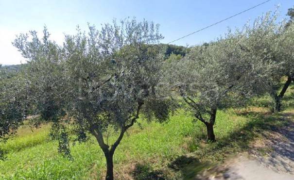appartamento in vendita a Montecchio Maggiore
