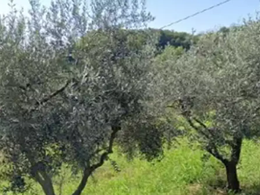 terreno agricolo in vendita a Montecchio Maggiore