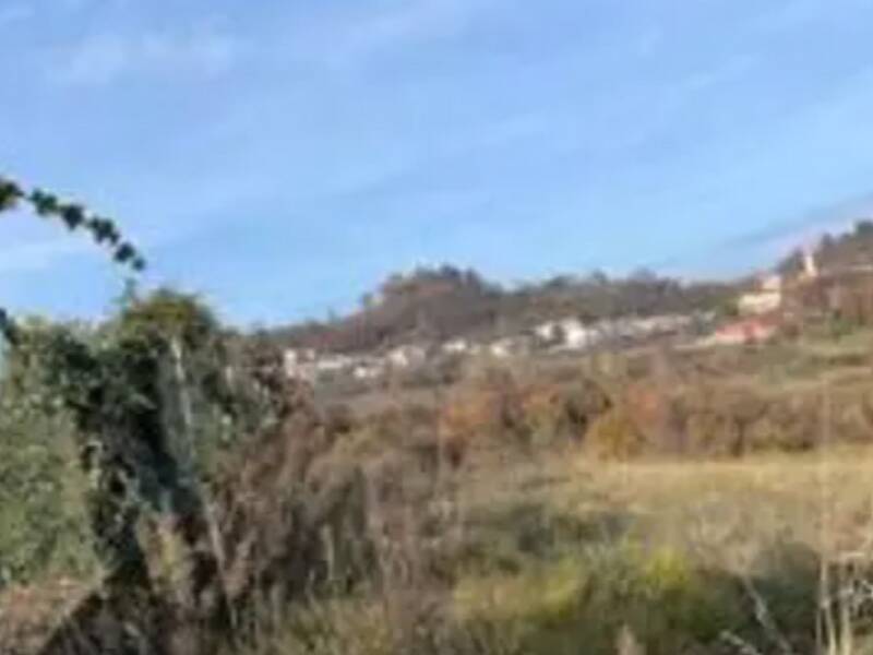 terreno agricolo in vendita a Montecchio Maggiore