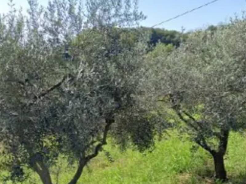 terreno agricolo in vendita a Montecchio Maggiore