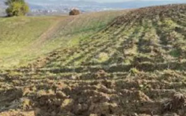 terreno agricolo in vendita a Montecchio Maggiore